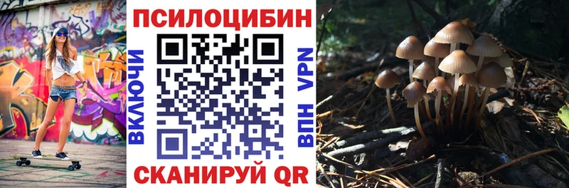 Галлюциногенные грибы мухоморы  магазин    Киселёвск 